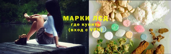 шишки Арсеньев