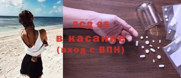 шишки Арсеньев