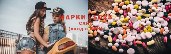 шишки Арсеньев