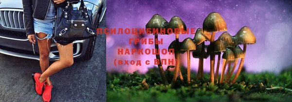 apvp Армянск