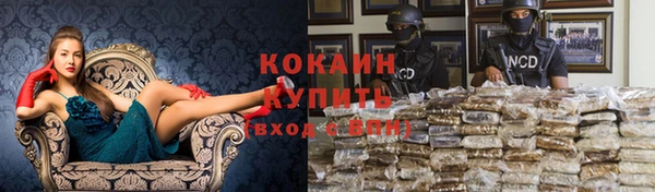 шишки Арсеньев